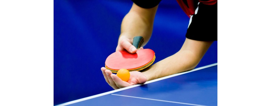Tennis de table Adultes - Marseille